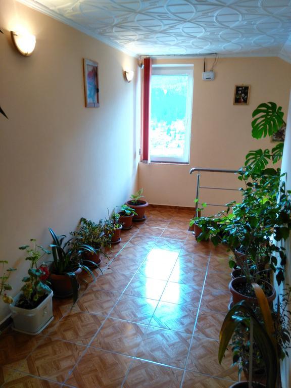 Vila Marcela Buşteni Quarto foto